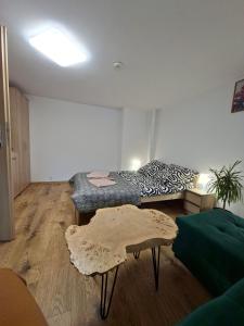 Apartament Wolności