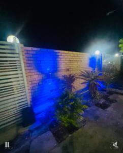 THE NIGHT Guesthouse