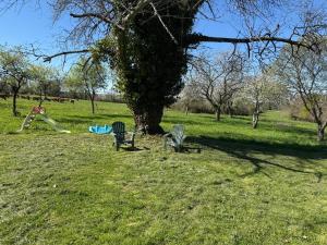 Maisons de vacances Gite du cerisier : photos des chambres