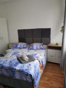 Studio STEFAN Campulung Muscel