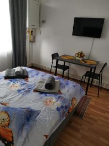 Studio STEFAN Campulung Muscel