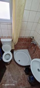 Apartmani Vučić