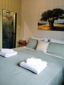 Olive apartment