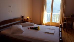 Epic Rooms Parnassos Greece