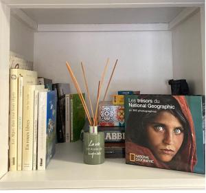 Appartement face aux thermes Allevard