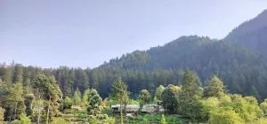 The Hilltop Kasol - Tosh