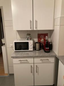 Appartement 1,5 pces