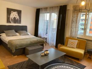 Appartement 1,5 pces