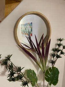 Appartamento Rosso Marsala 9