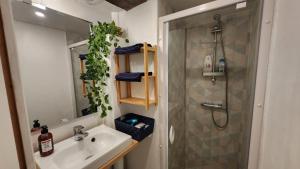 T4 souplex Authentique Toulousain, 5Pers 3lits- Tout équipé - hypercentre