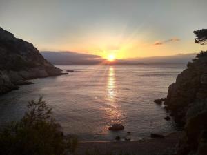 Cabanon dans la calanque de la Vesse