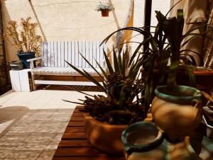 Maisons de vacances Cabanon dans la calanque de la Vesse : photos des chambres
