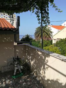 Apartments Dina