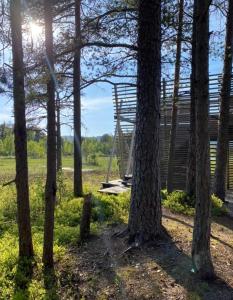 Large and beautiful cabin