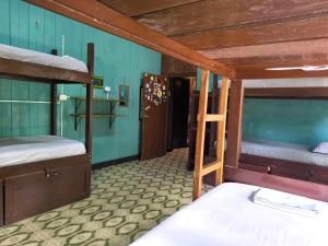 Hostel Casa de las Palmas Tours