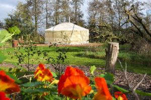 Yurt Klyndobbe