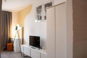 Jungle & Orange Box - Studio - Navodari