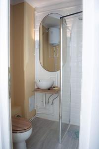 Jungle & Orange Box - Studio - Navodari