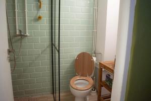 Jungle & Orange Box - Studio - Navodari