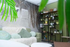 Jungle & Orange Box - Studio - Navodari