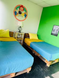 Maison Verte - Budget Edition