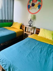 Maison Verte - Budget Edition