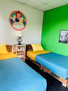 Maison Verte - Budget Edition