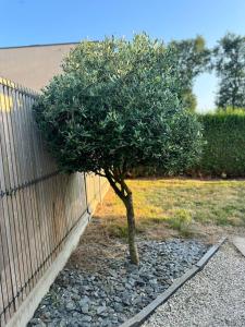 Maisons de vacances Cottage Dolce vita a Bobital : photos des chambres