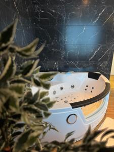 Appartements Suite romantique - Jolies Courbes : photos des chambres