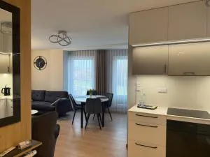 Apartament Księżycowy z garażem - 新松奇