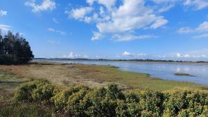 Maisons de vacances Chalet en bois a 800m de la mer : photos des chambres