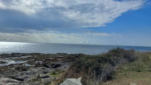 Maisons de vacances Chalet en bois a 800m de la mer : photos des chambres