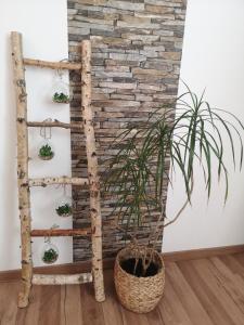 Alpine Joy Apartments