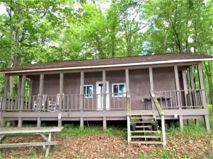 Black Bear Lodge - 西布兰奇