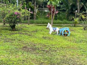 Chácara Belas Águas