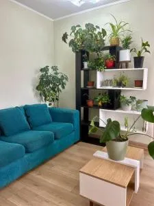 Amplio departamento - Curacautín