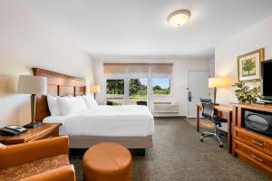 King Room - Non Smoking room in Best Western Driftwood Inn