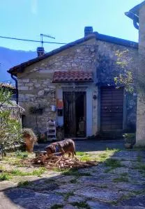 Maurizio nel Borgo Medievale - Comano