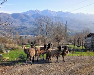 Maurizio nel Borgo Medievale