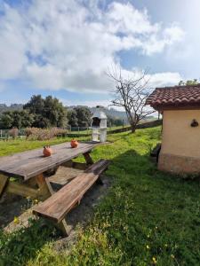 Apartamento con jardín