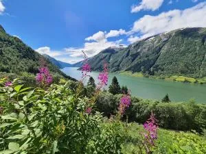 Over the Fjord - 旺斯内斯