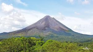 Pandanus Lodge & Retreats Bungalow Orchidee