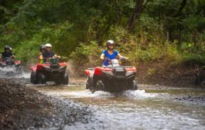 Pandanus Lodge & Retreats Bungalow Orchidee