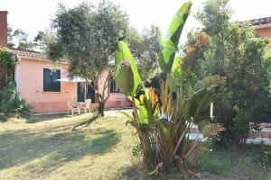 Maisons de vacances Terracorse : photos des chambres