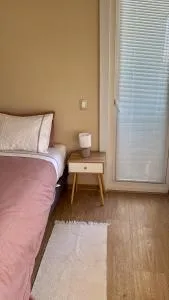 Apart Suite Centro Chillán - Guangualí