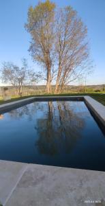Maisons de vacances Beautiful villa between Uzes & Avignon : photos des chambres