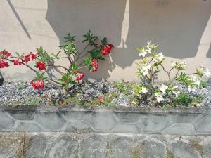 Casa Villa Branca Jacareí - PROIBIDO FESTAS E SOM ALTO