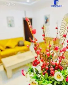 BOTS Two Bedroom Apartment - Oke Ogun