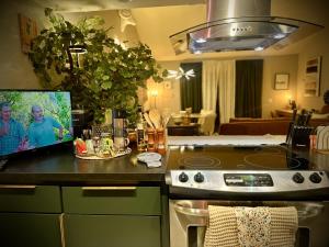 Spacious 1 BR 1 BA Family Villa