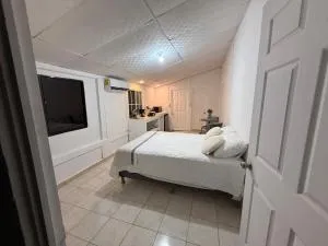 Eco villas 6C y 2C - Comasagua